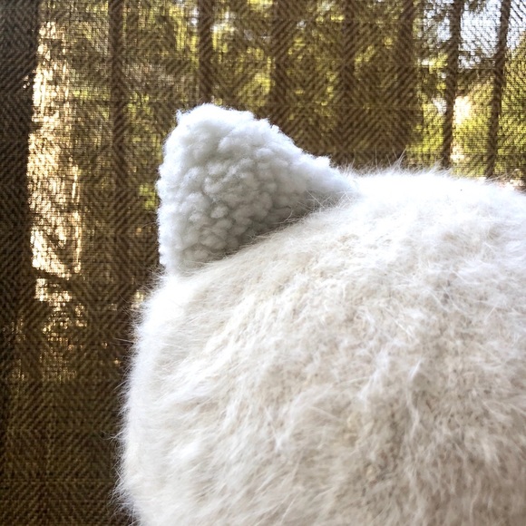 Cat Cap! - Picture 4 of 7